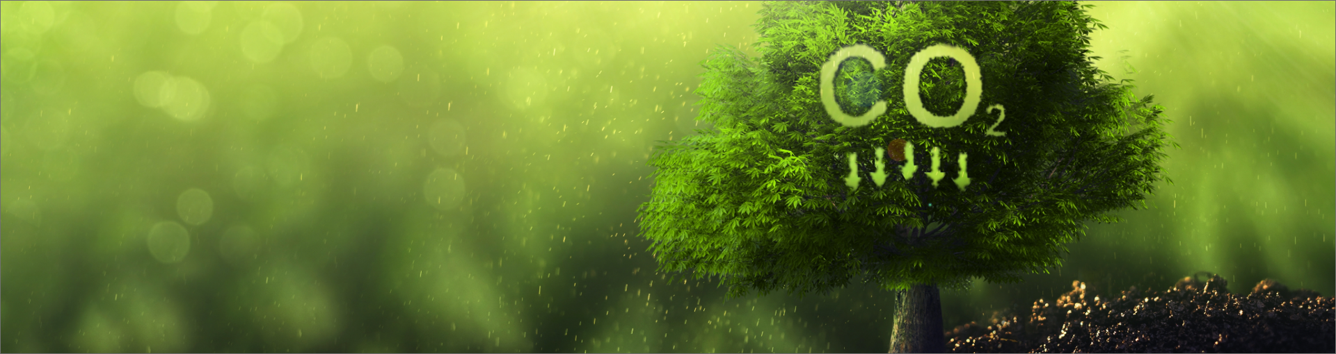 home-banner